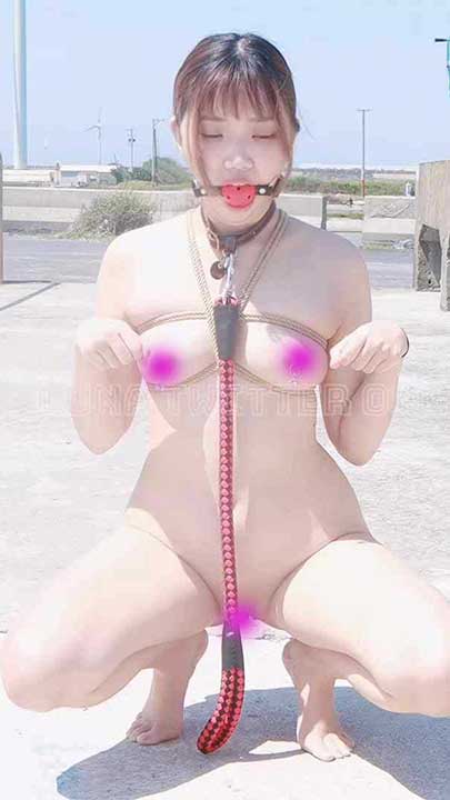 推特 LUNA 露脸小母狗户外炸裂调教9V【3.55G】